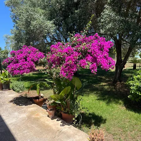 Apartment Sa 'e Santina